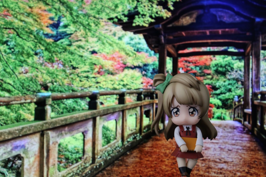 Kotori Minami.0