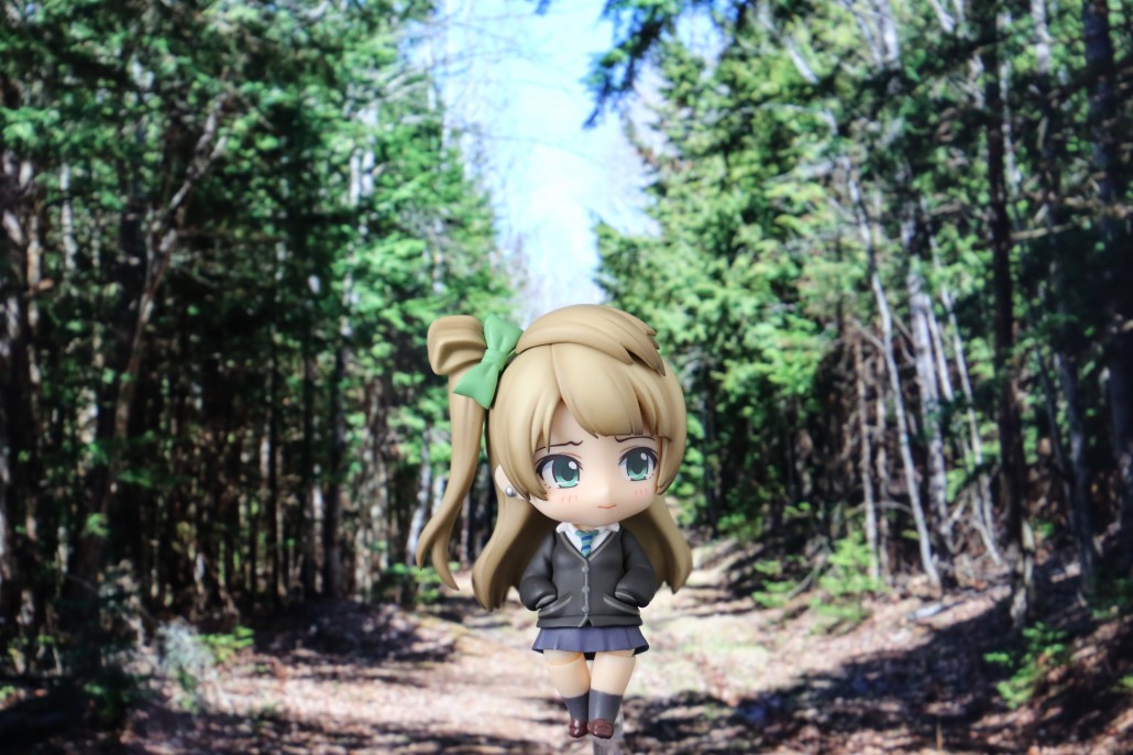 Kotori Minami.0