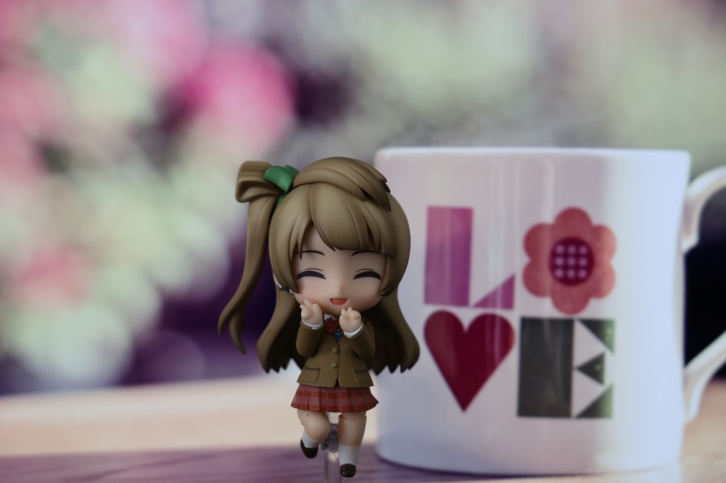Kotori Minami.0