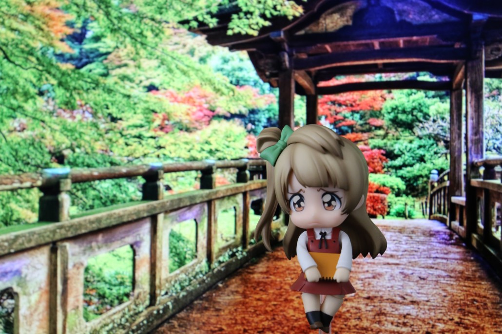 Kotori Minami.1