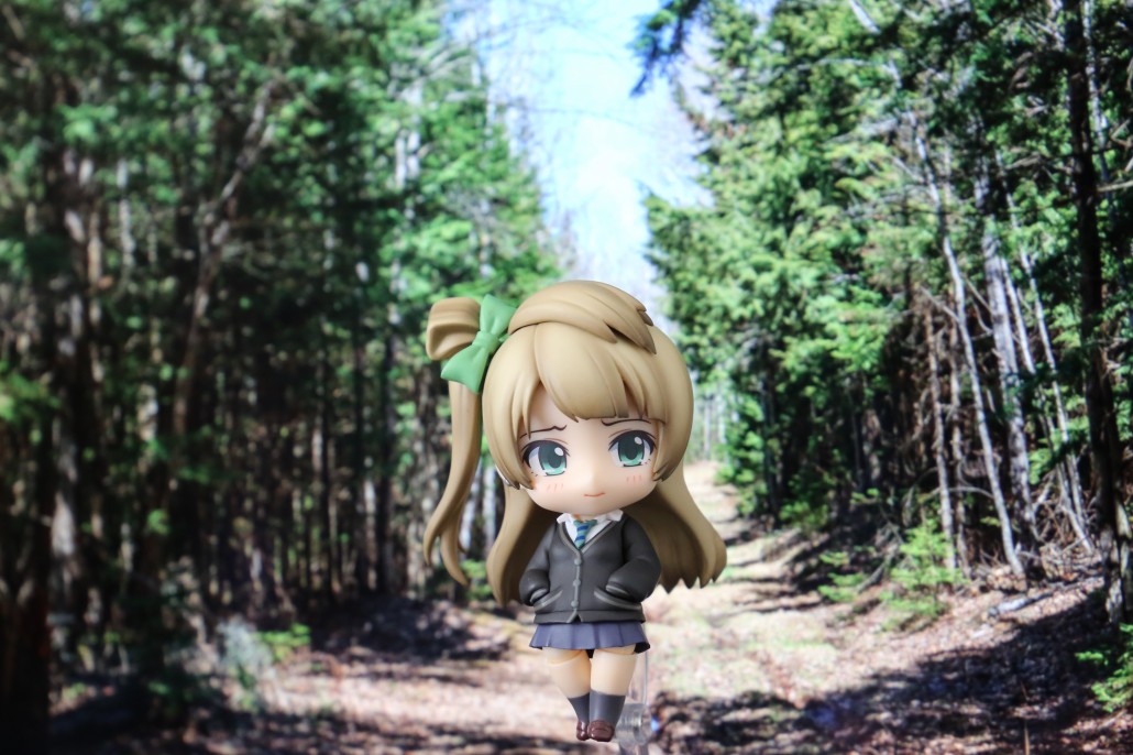 Kotori Minami.1