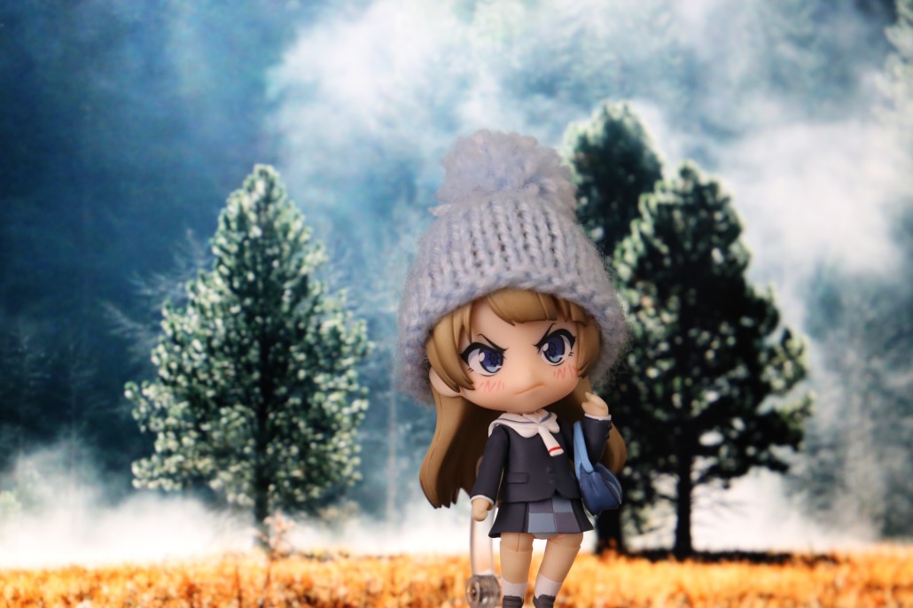 Kotori Minami.1