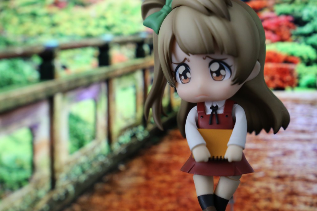 Kotori Minami.10