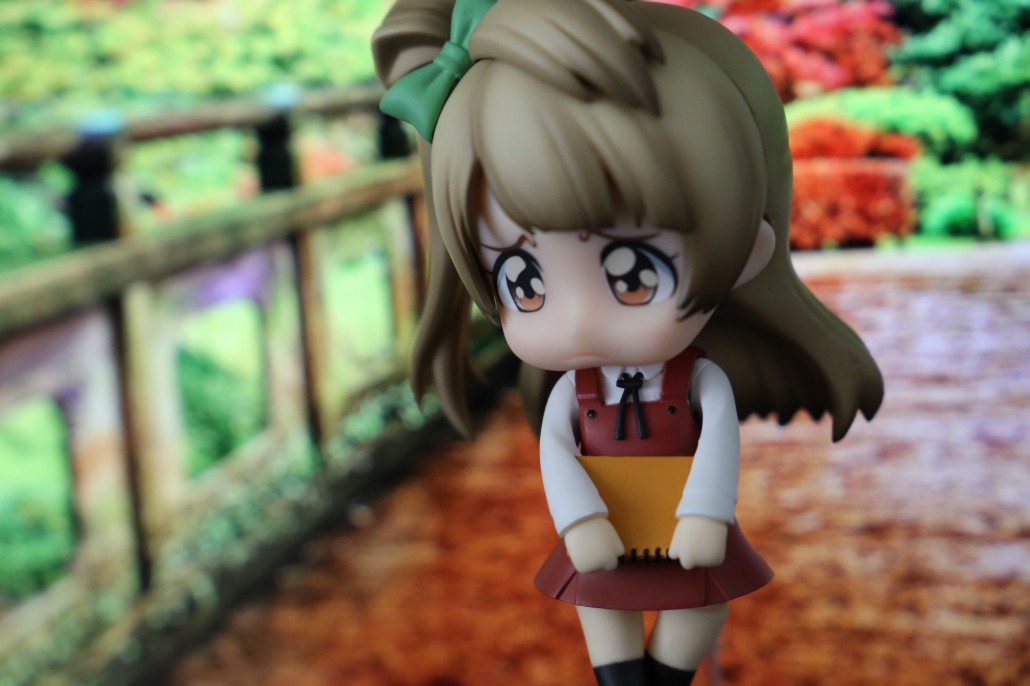 Kotori Minami.11