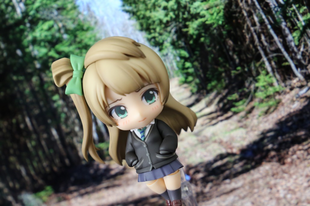 Kotori Minami.11