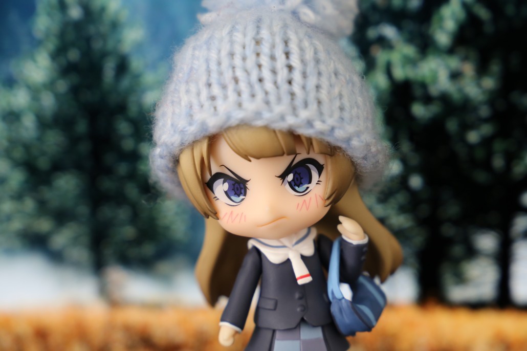 Kotori Minami.11