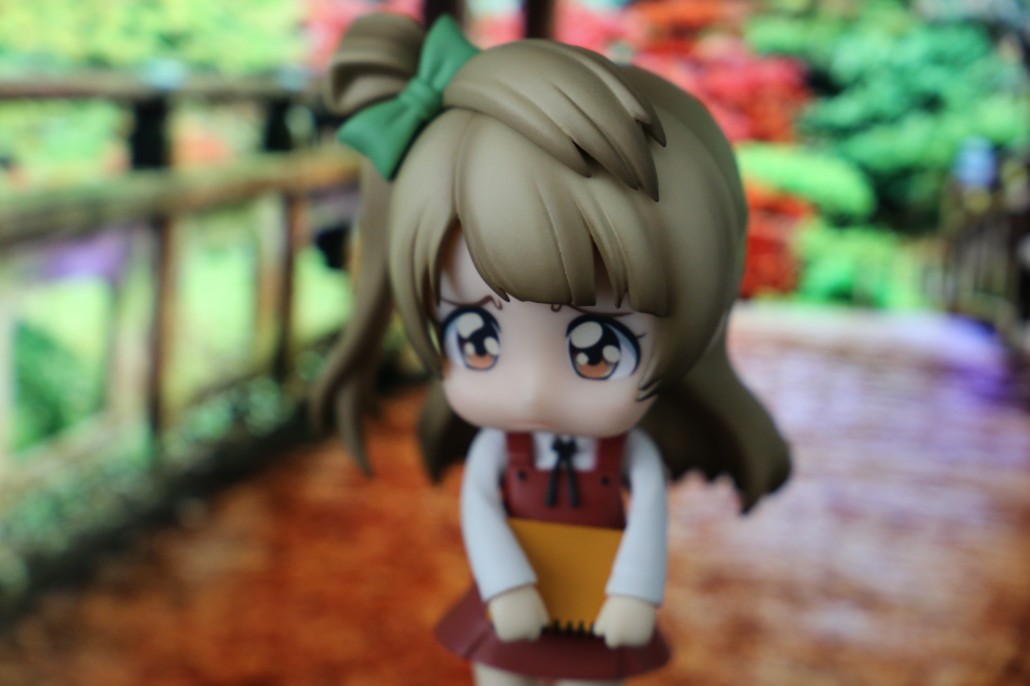 Kotori Minami.12