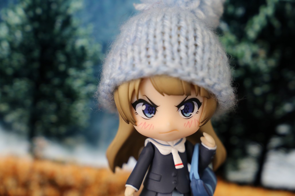 Kotori Minami.12