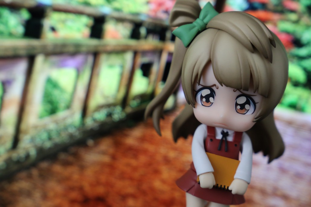 Kotori Minami.13