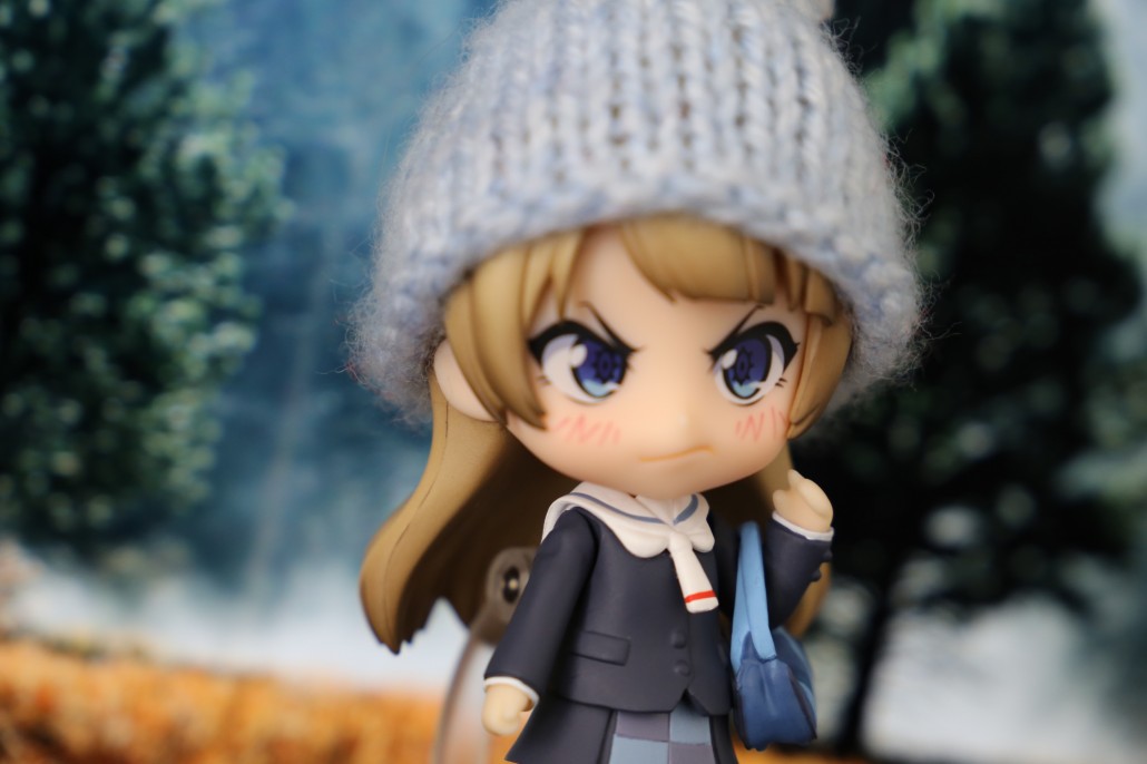 Kotori Minami.13