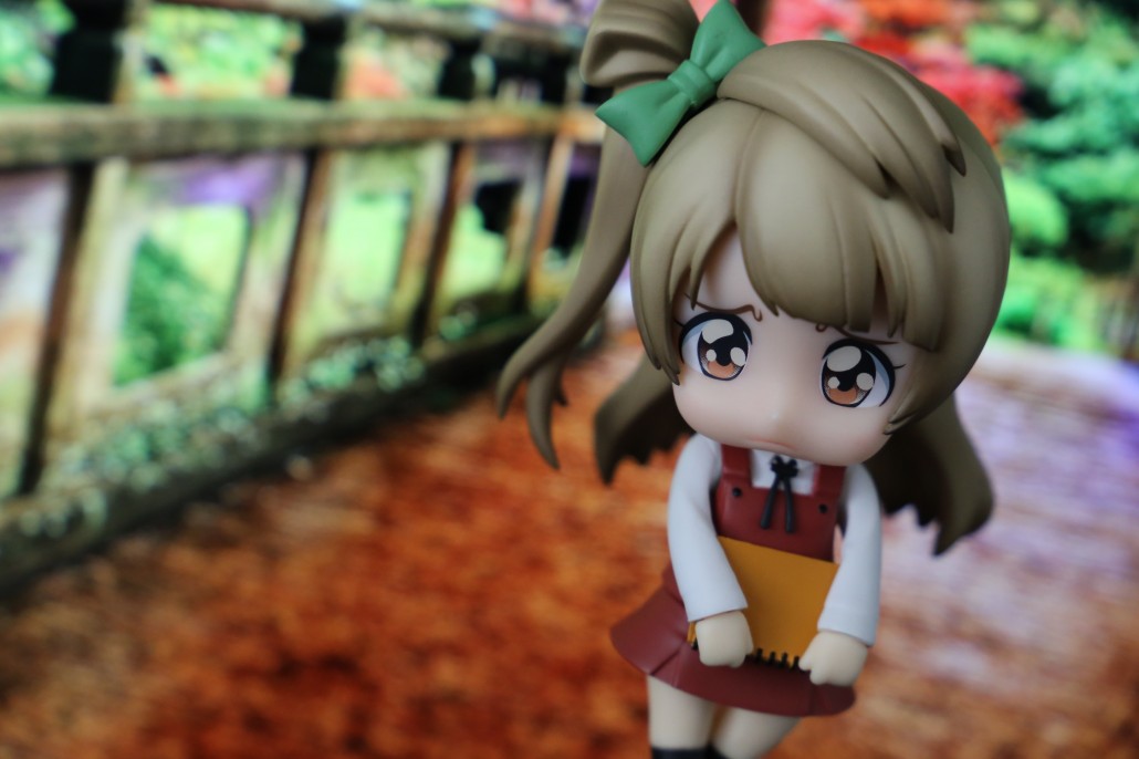 Kotori Minami.14