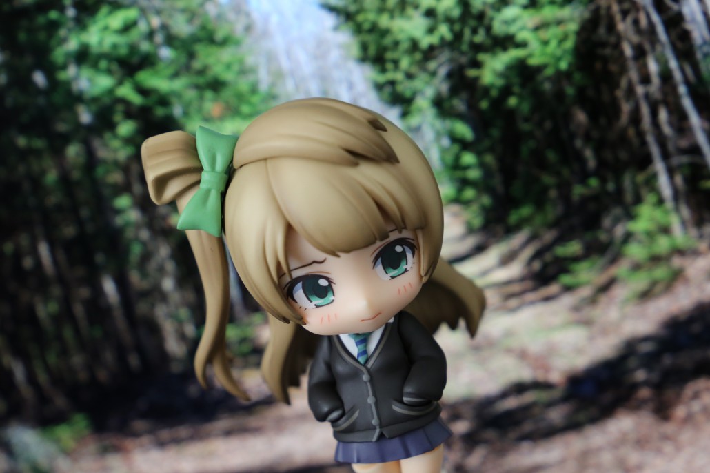Kotori Minami.14
