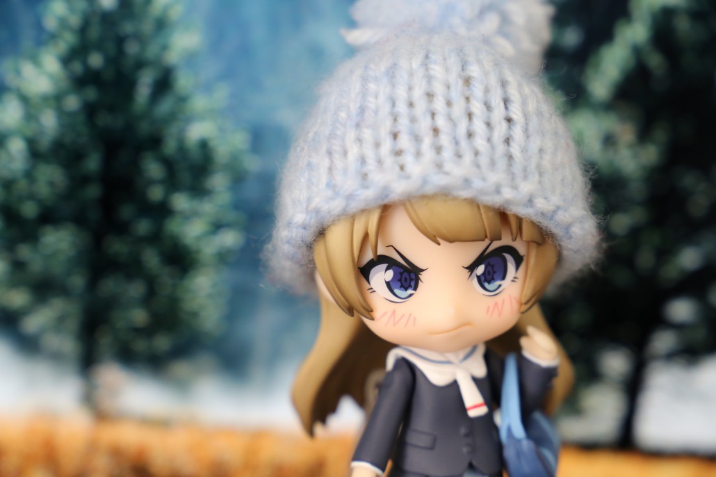 Kotori Minami.14