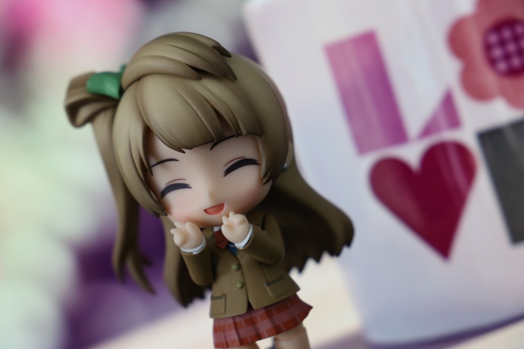 Kotori Minami.14