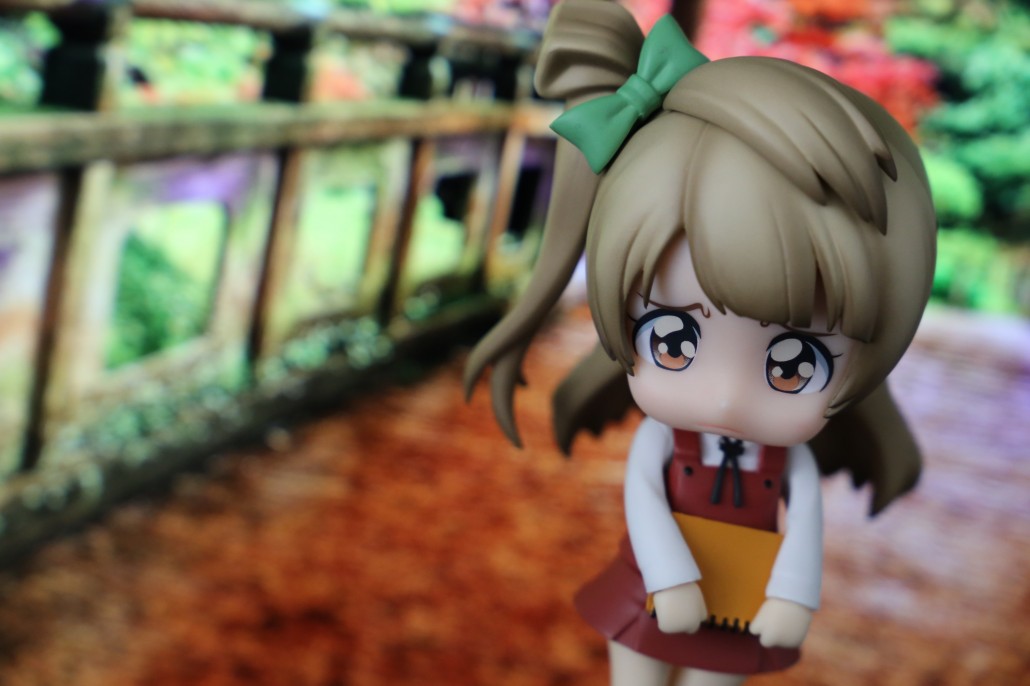 Kotori Minami.15