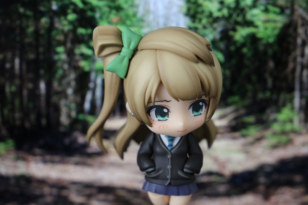 Kotori Minami.15