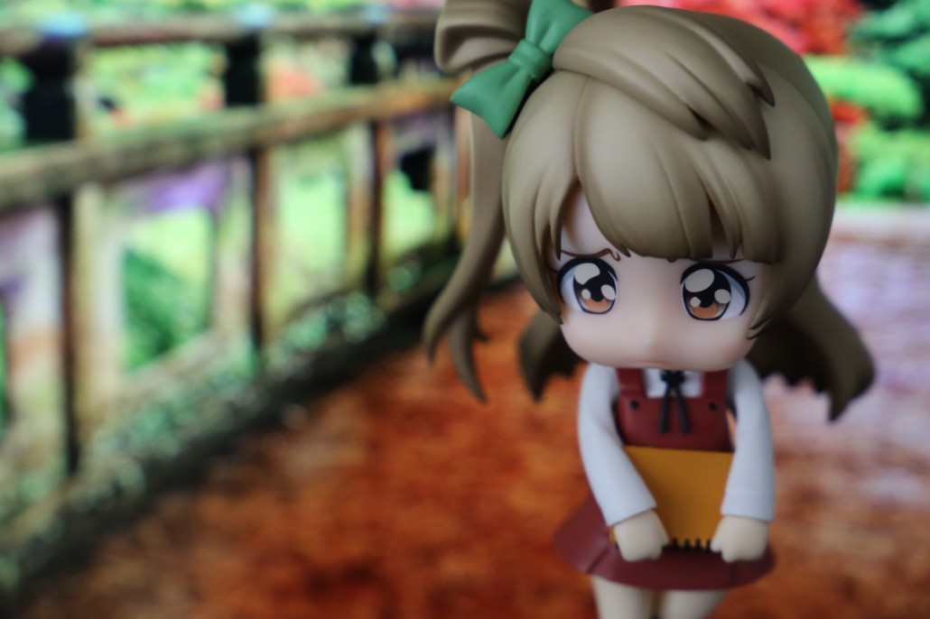 Kotori Minami.16