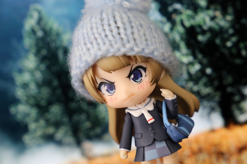 Kotori Minami.16