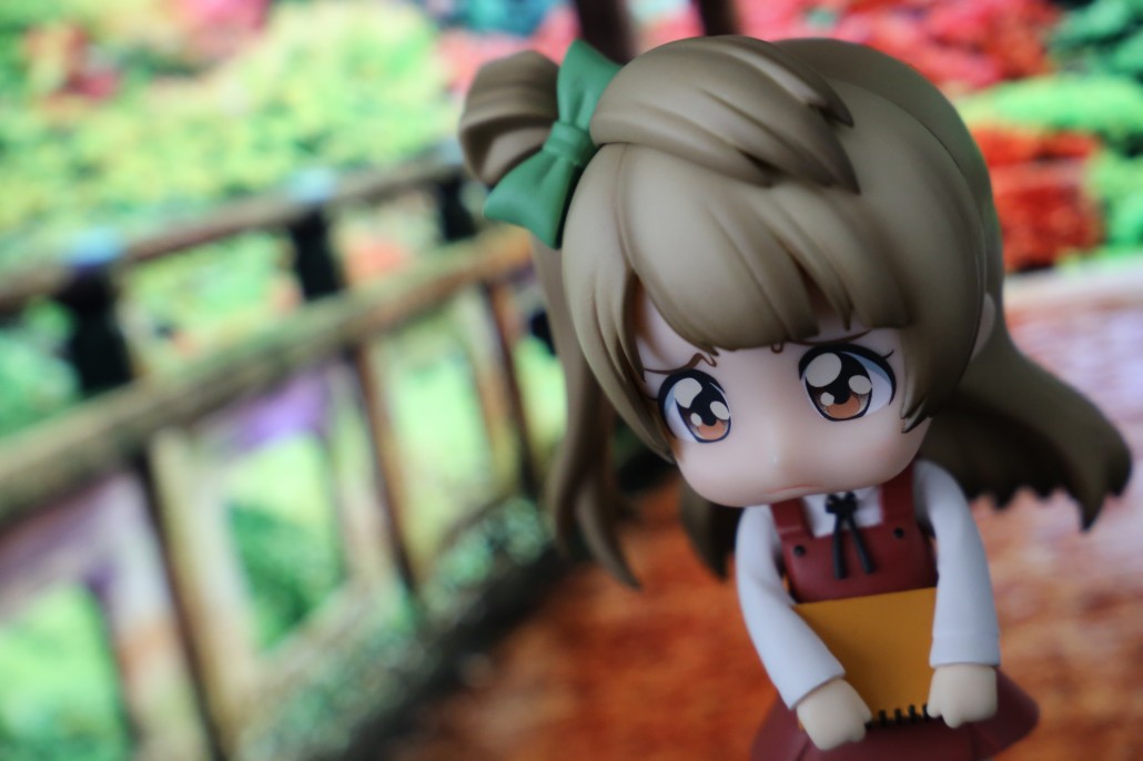 Kotori Minami.17