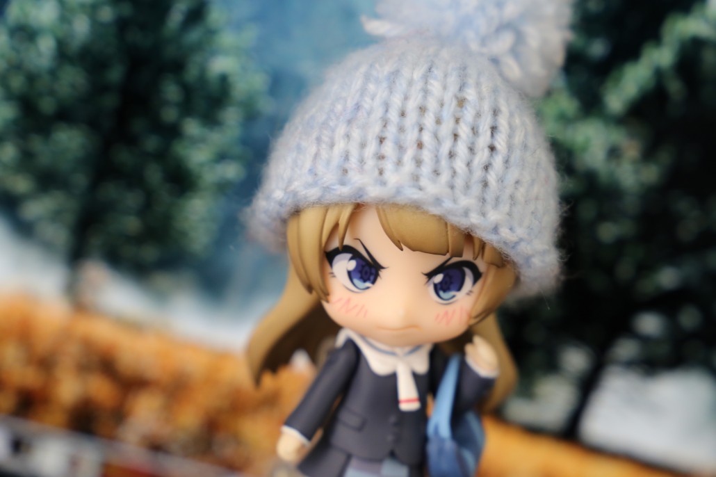 Kotori Minami.17