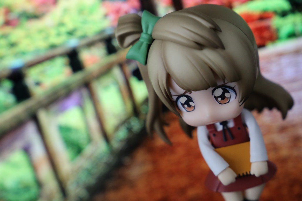 Kotori Minami.18