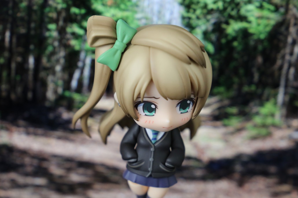 Kotori Minami.19
