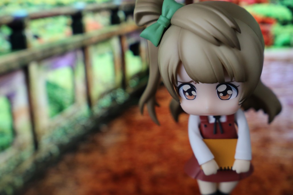 Kotori Minami.19