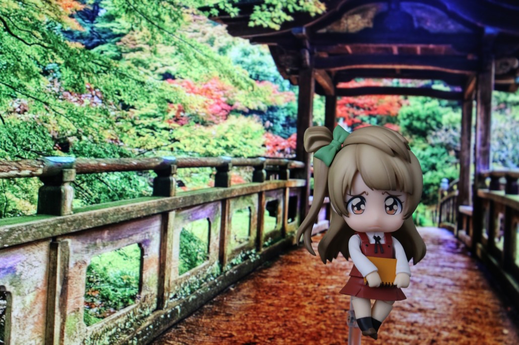 Kotori Minami.2