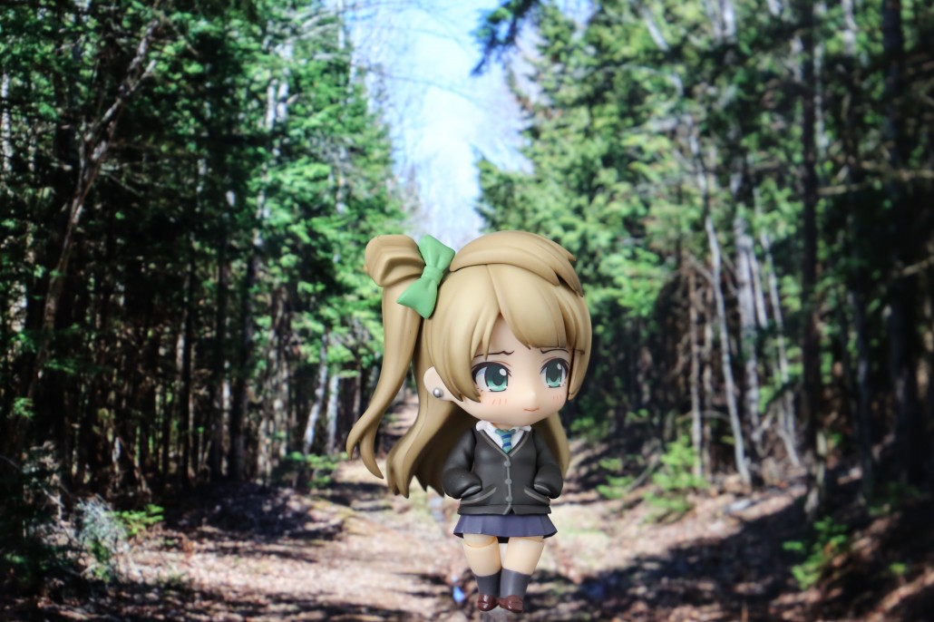 Kotori Minami.2