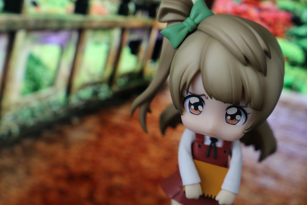 Kotori Minami.20