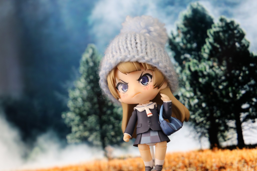 Kotori Minami.20