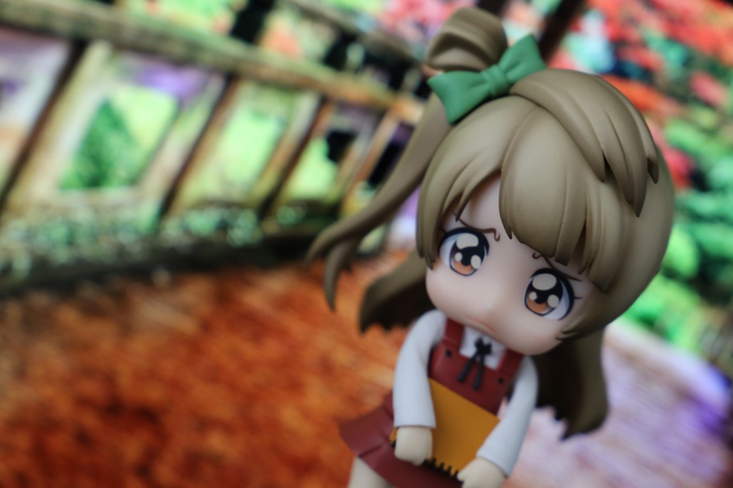 Kotori Minami.21