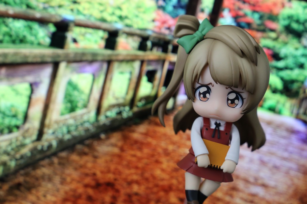 Kotori Minami.22
