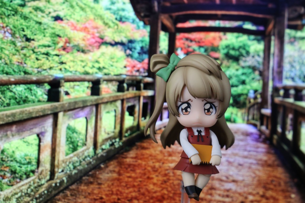 Kotori Minami.3