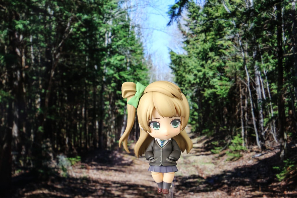 Kotori Minami.3