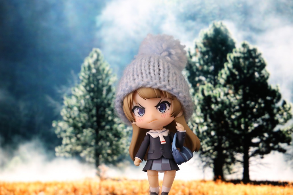 Kotori Minami.3