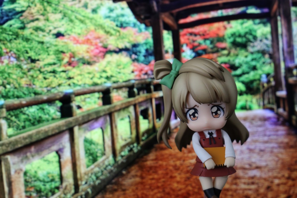 Kotori Minami.4