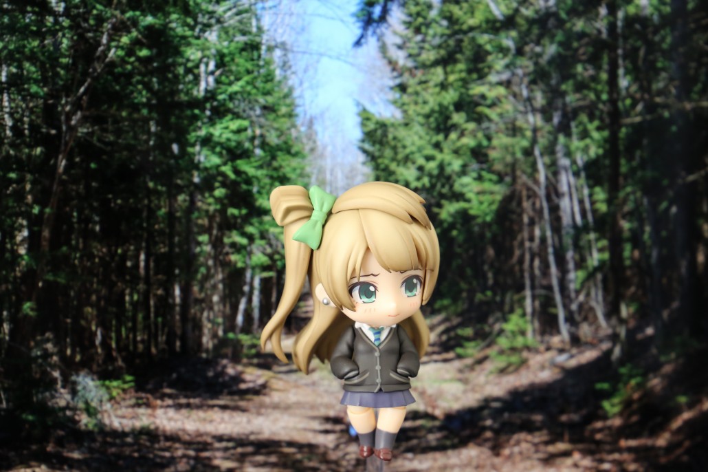 Kotori Minami.4