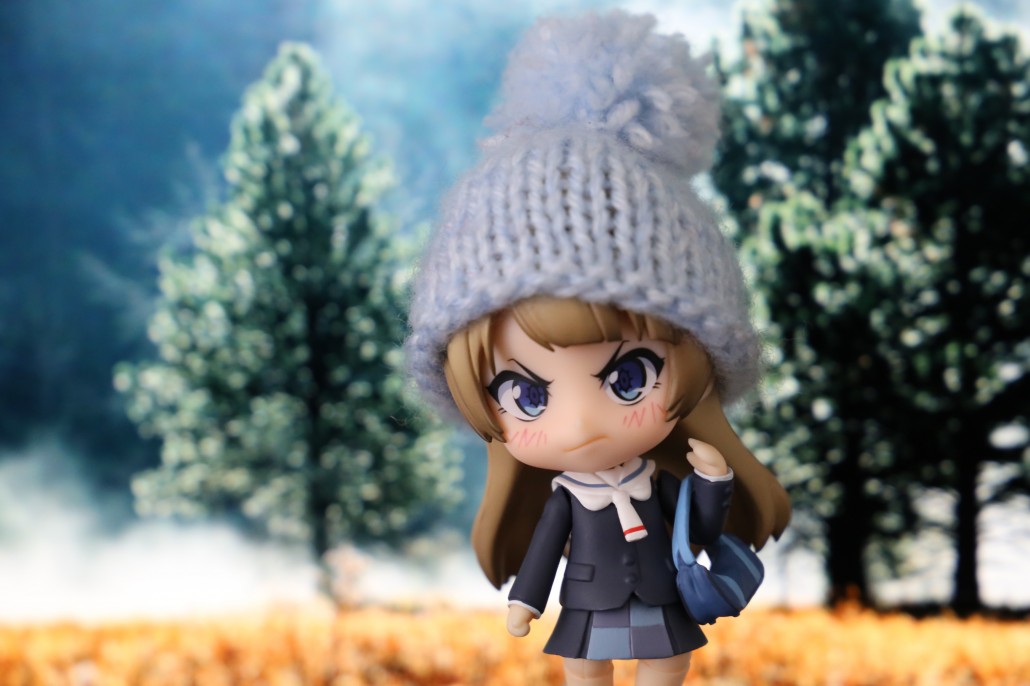 Kotori Minami.4