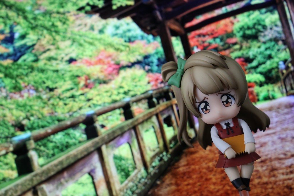 Kotori Minami.5