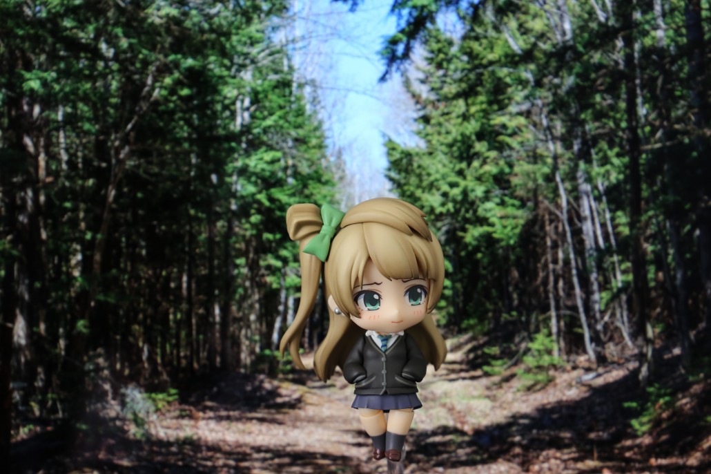 Kotori Minami.5