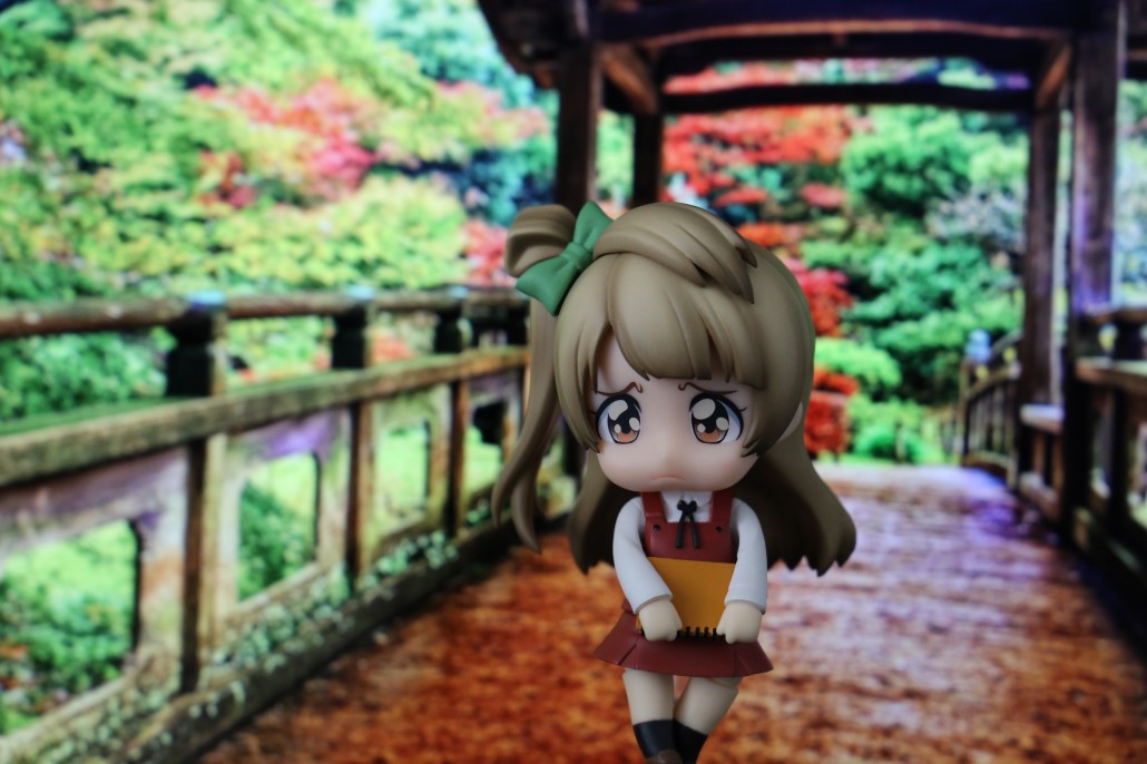 Kotori Minami.6