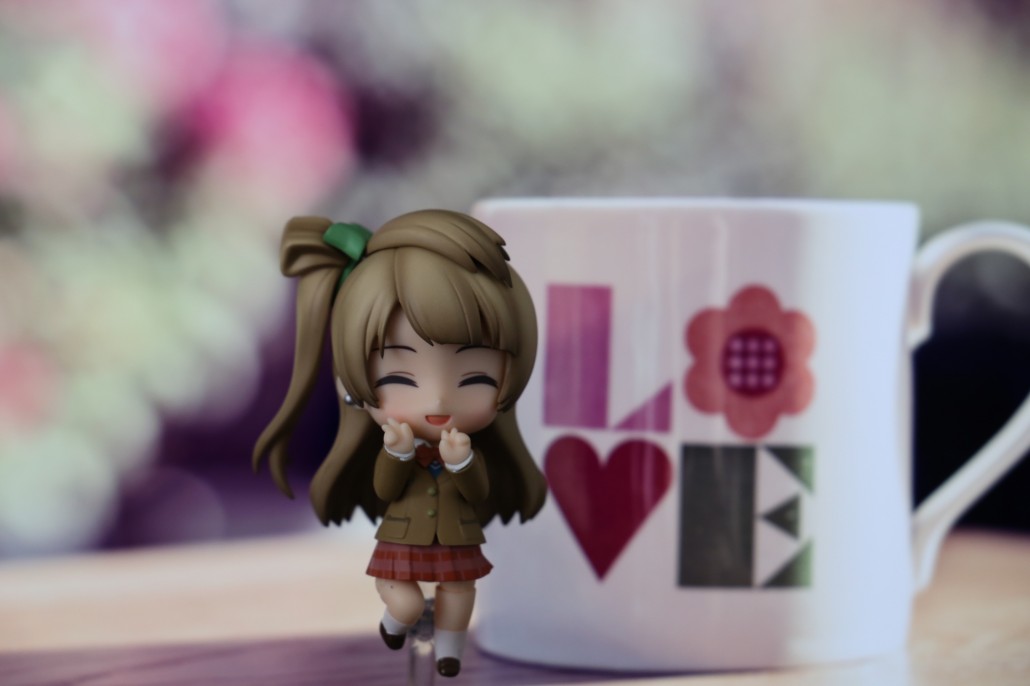 Kotori Minami.6