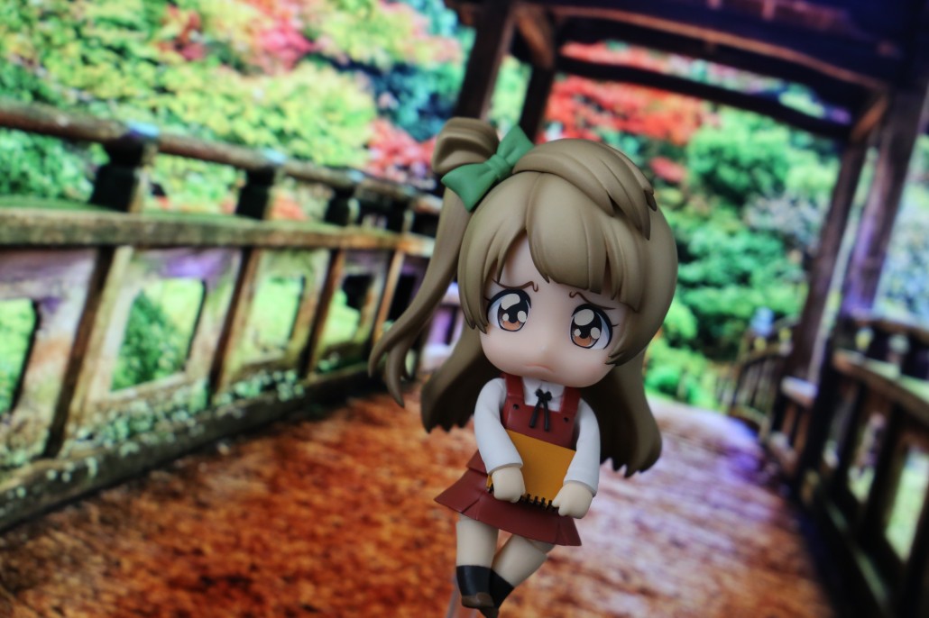 Kotori Minami.7