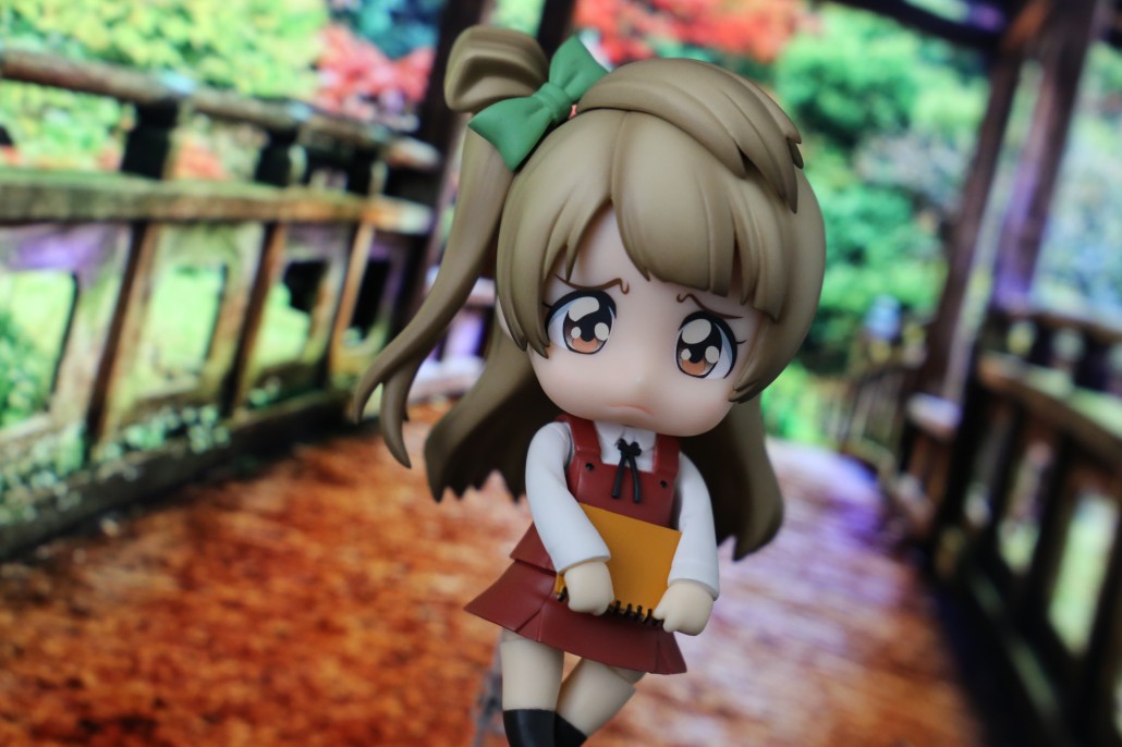 Kotori Minami.8