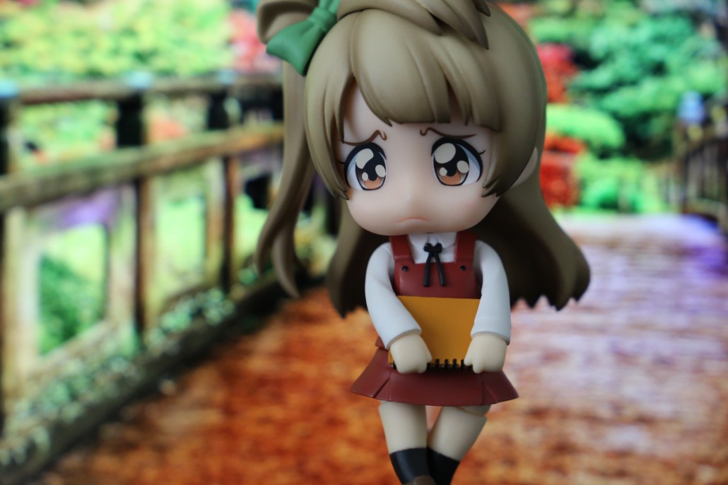 Kotori Minami.9
