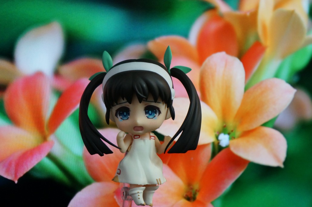 Mayoi Hachikuji.1