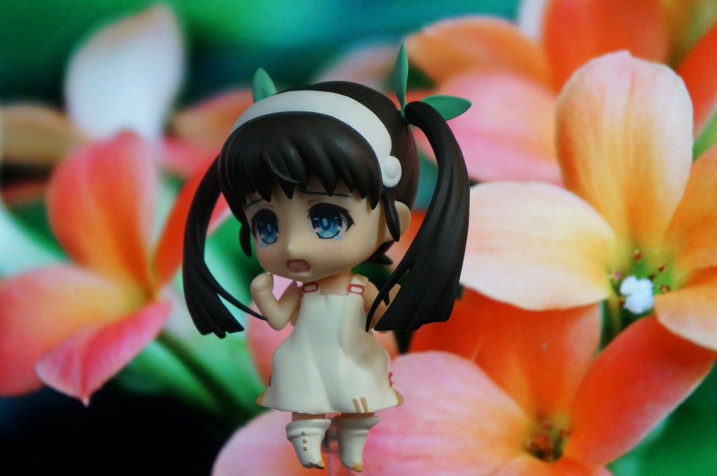 Mayoi Hachikuji.2