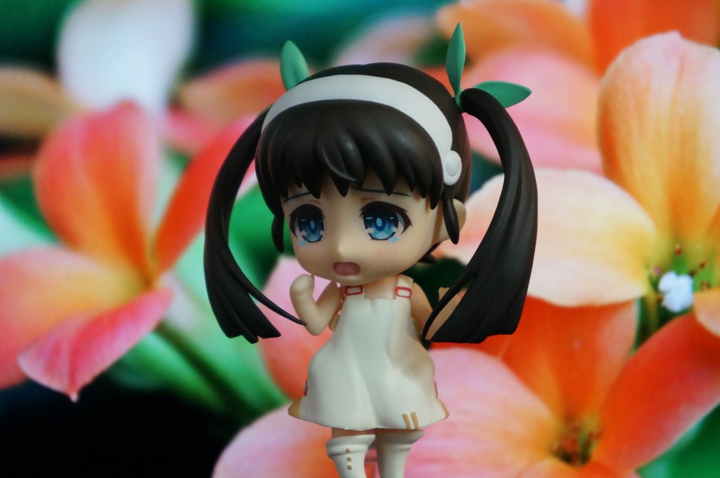 Mayoi Hachikuji.3
