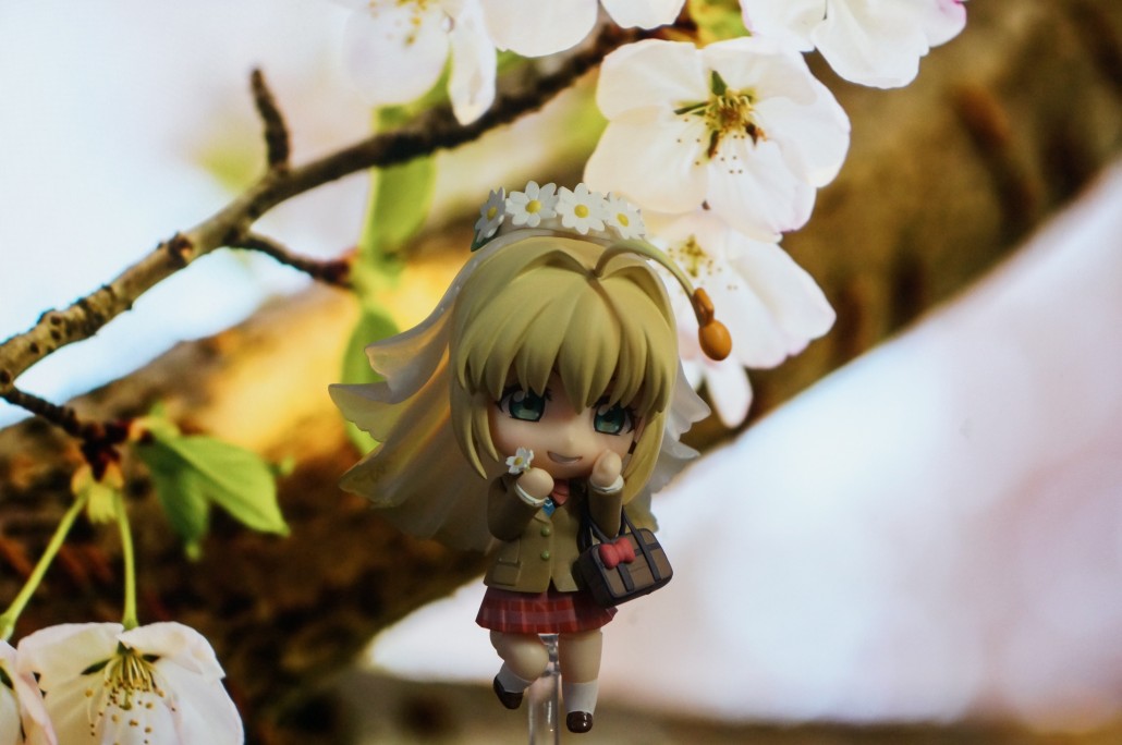 Saber Bride.1